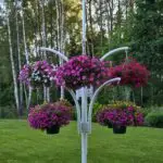 polish 20250706 163316513