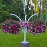 polish 20250706 163857365