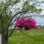 polish 20250706 164240205