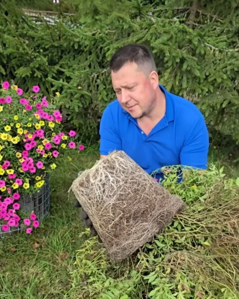 polish 20260107 115430253