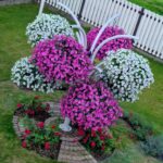 whatsapp image 2025 04 10 at 12.32.17 31e729f9