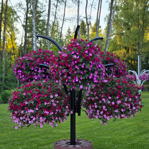 polish 20250706 163433560